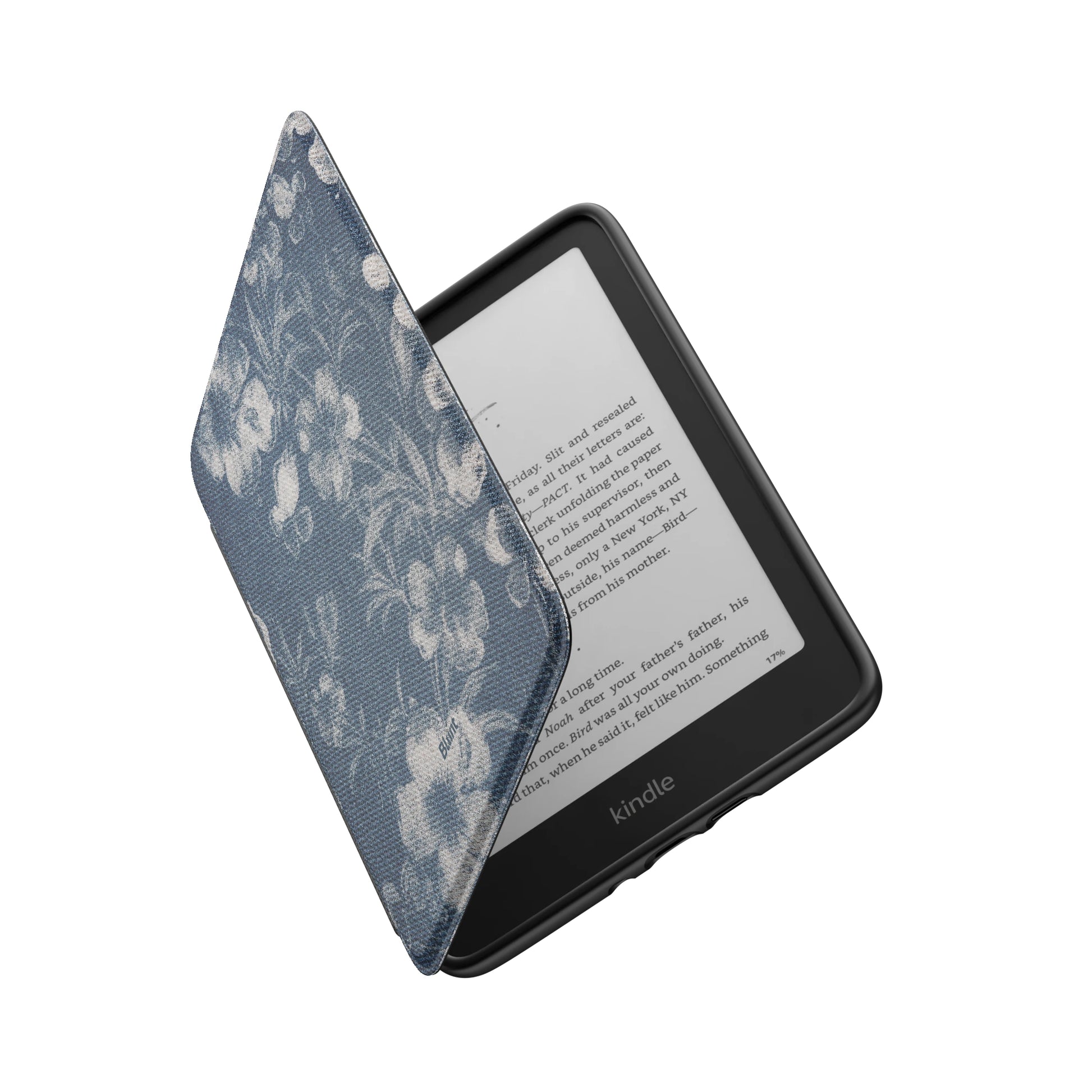 Kindle_Standard_6