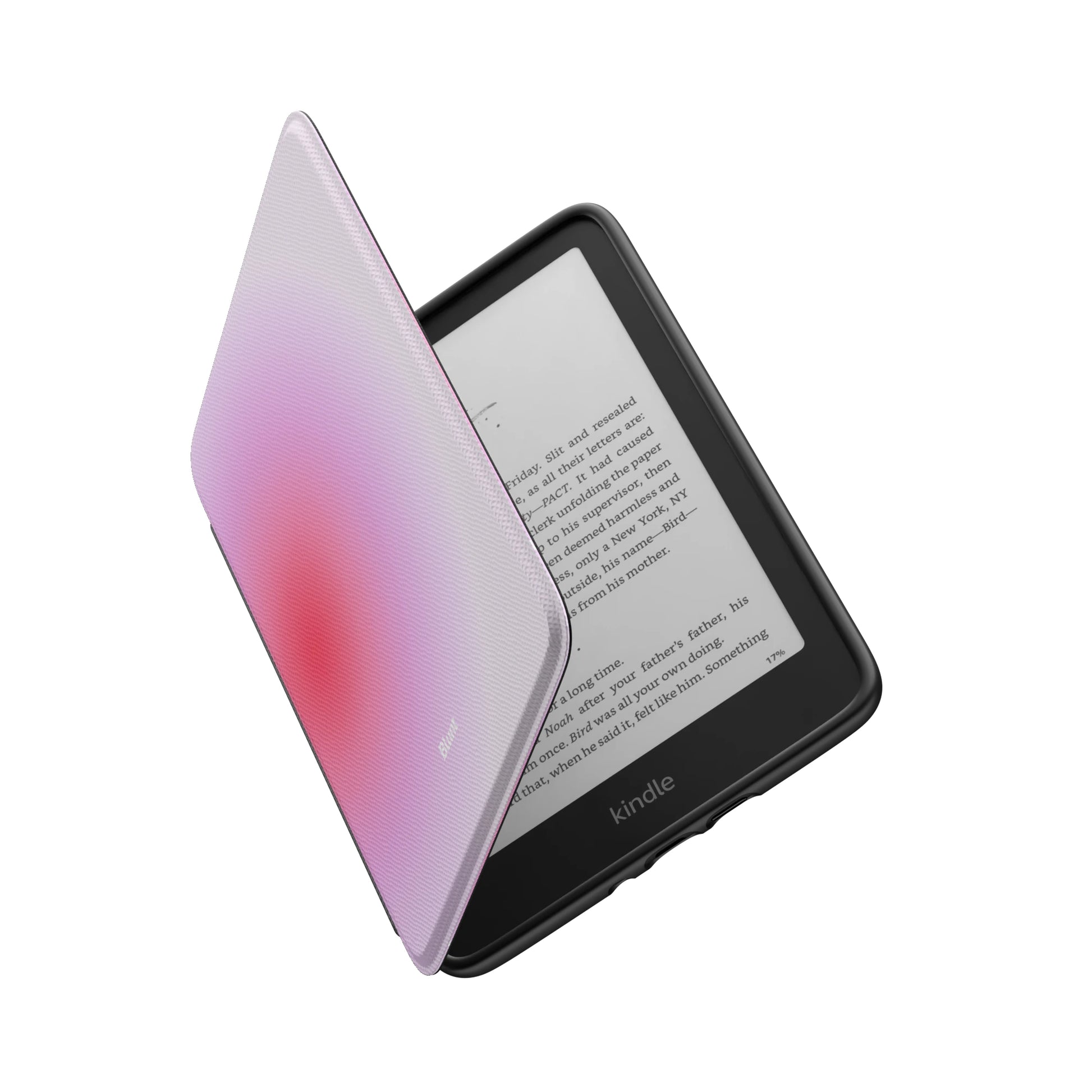 Kindle_Standard_6