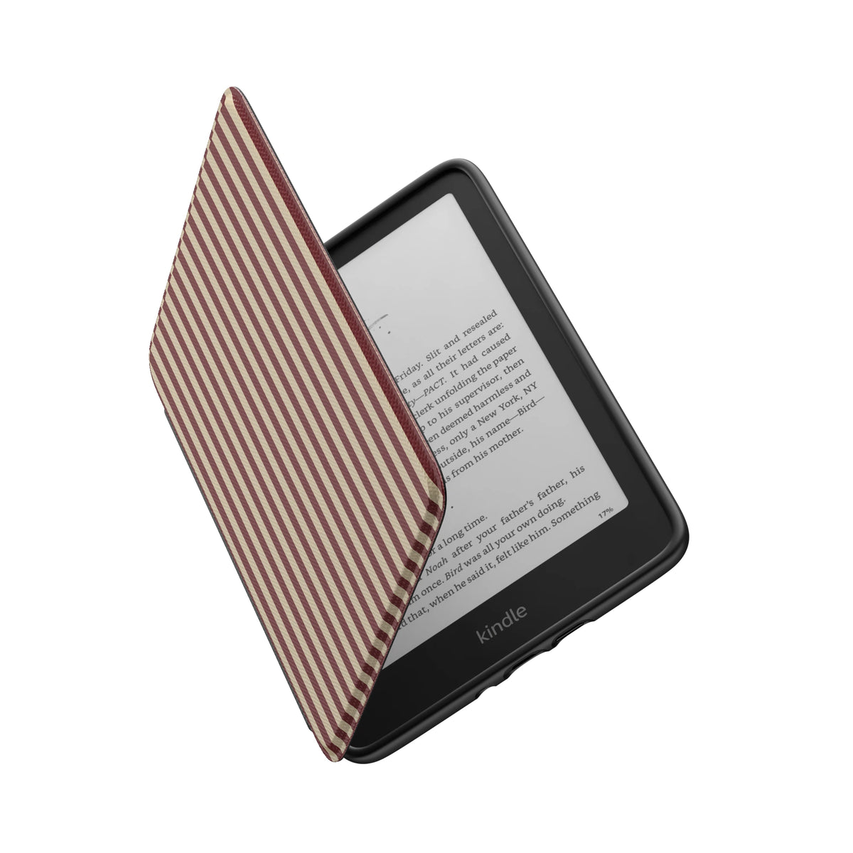 Kindle_Standard_6