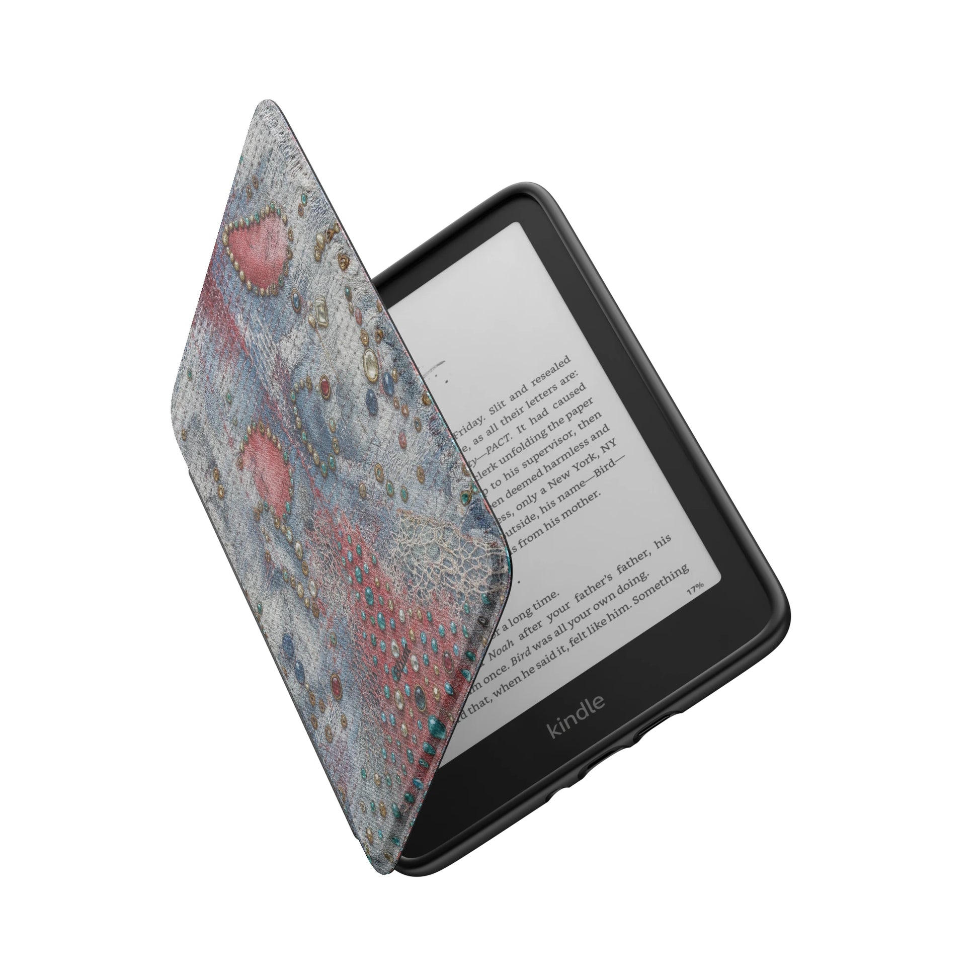Kindle_Standard_6