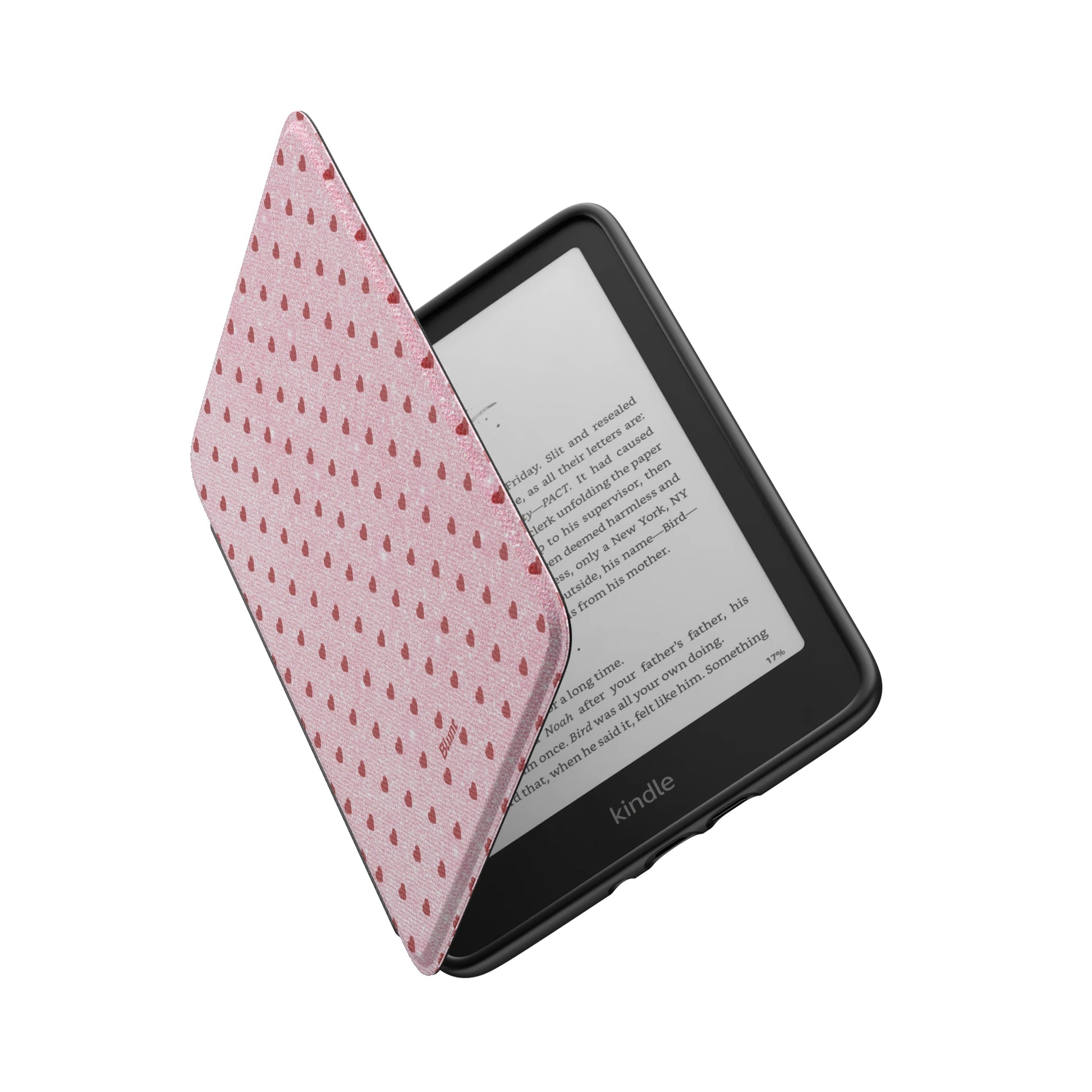 Kindle_Standard_6