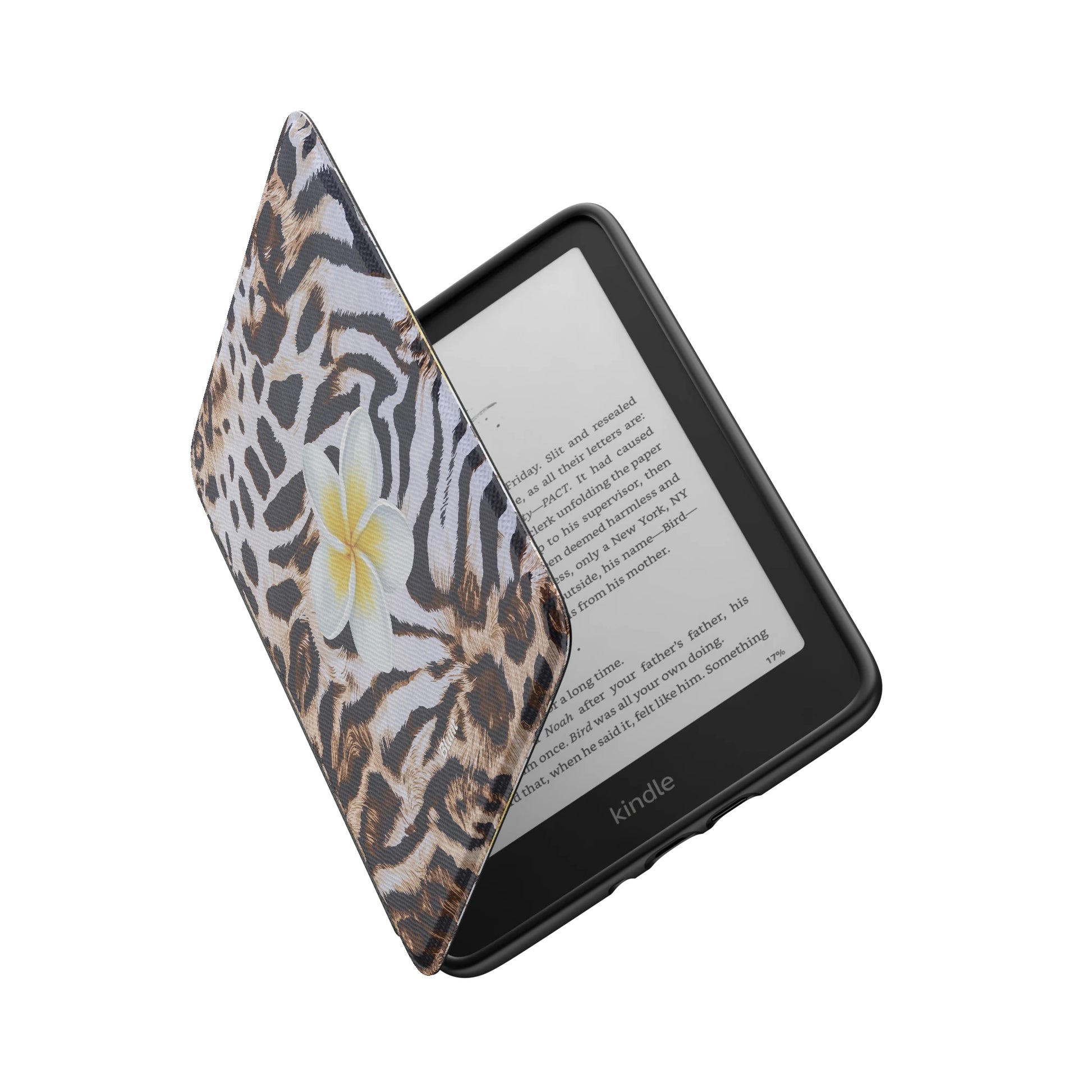 Kindle_Standard_6