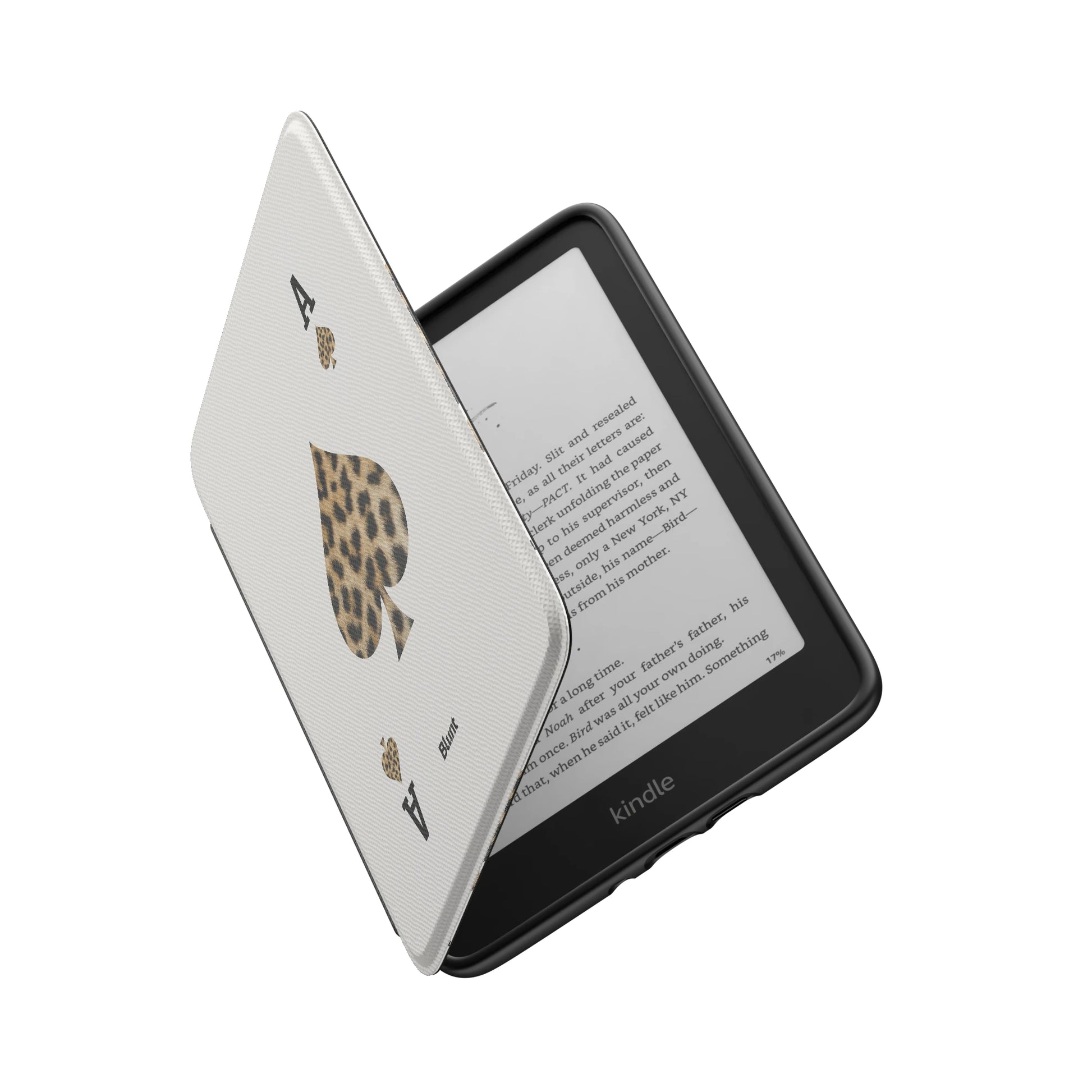 Kindle_Standard_6