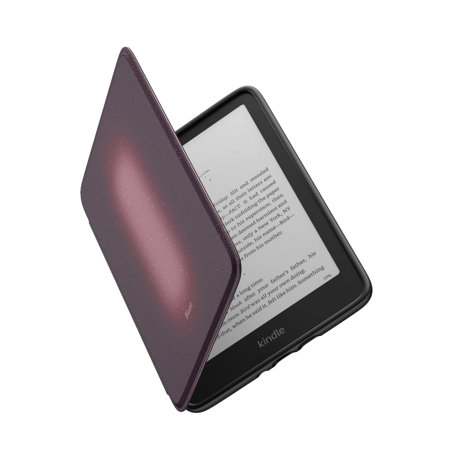 Kindle_Standard_6