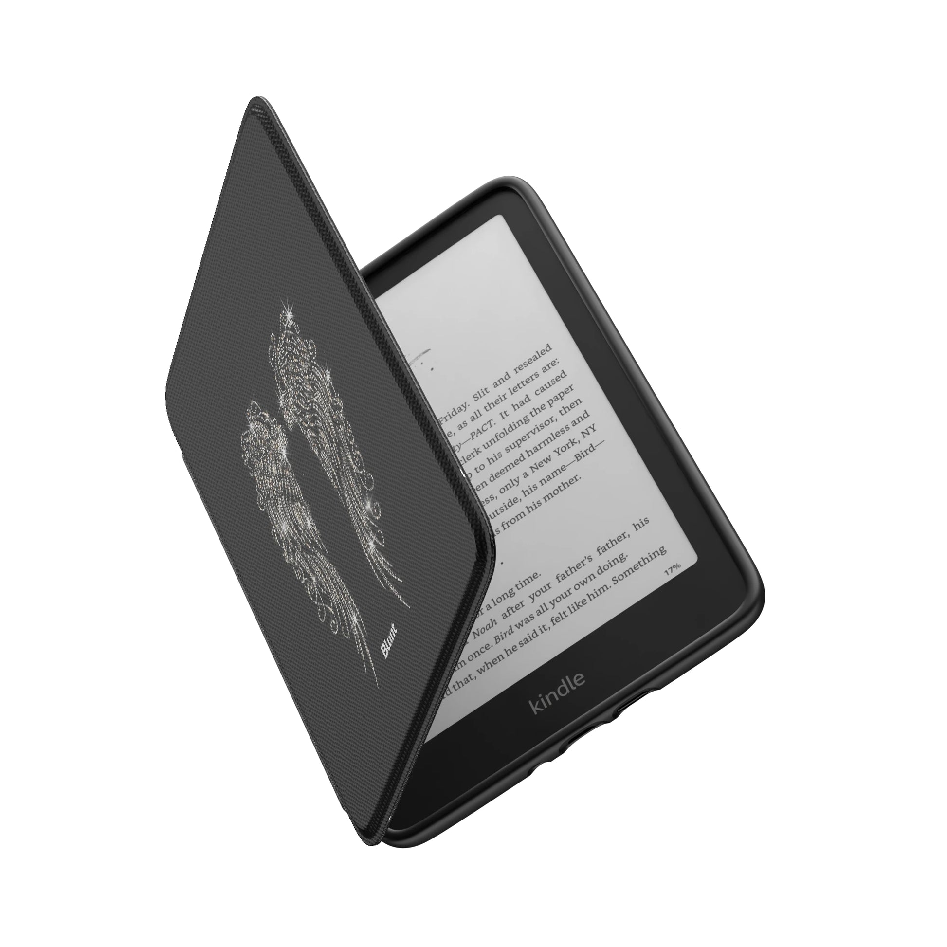 Kindle_Standard_6