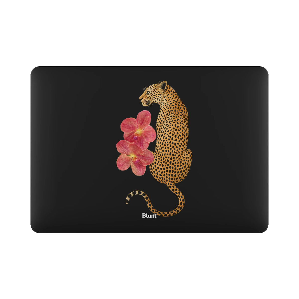 MacBook_Air_6