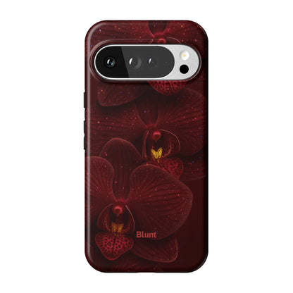 Pixel_10_Pixel_10_Pro_XL_1