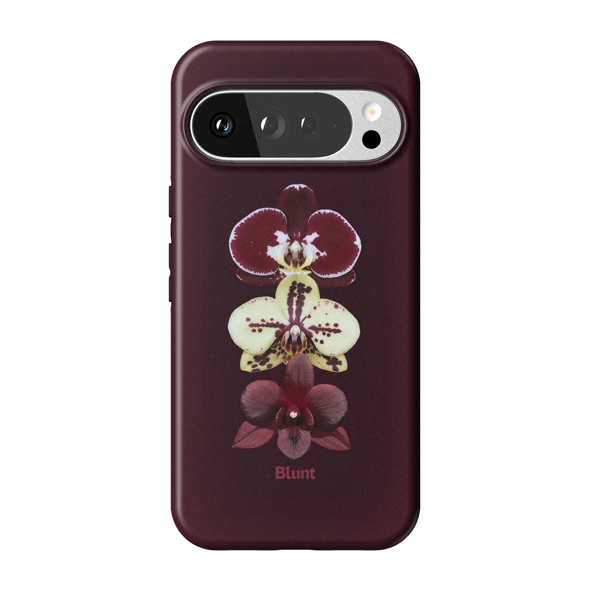 Pixel_10_Pixel_10_Pro_XL_1