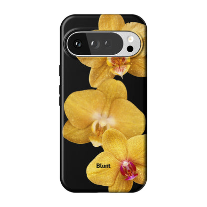 Pixel_10_Pixel_10_Pro_XL_1