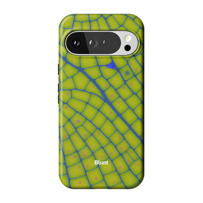 Pixel_10_Pixel_10_Pro_XL_1