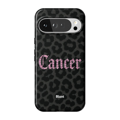 Pixel_10_Pixel_10_Pro_XL_1