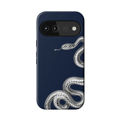 Pixel_11_Pixel_1