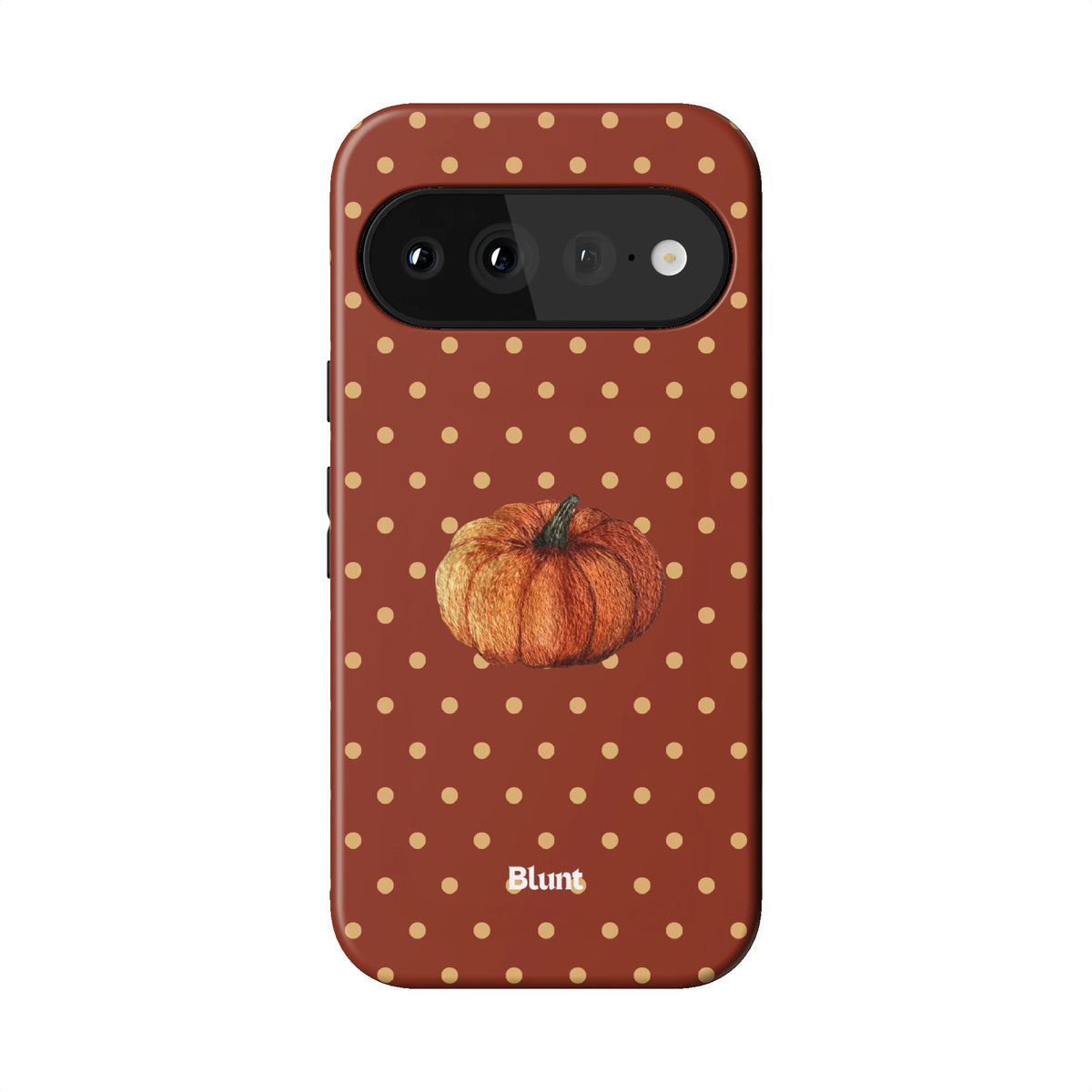 Pixel_11_Pixel_1