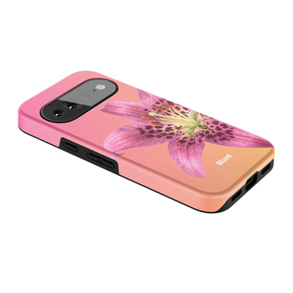 Pixel_11_Pixel_2