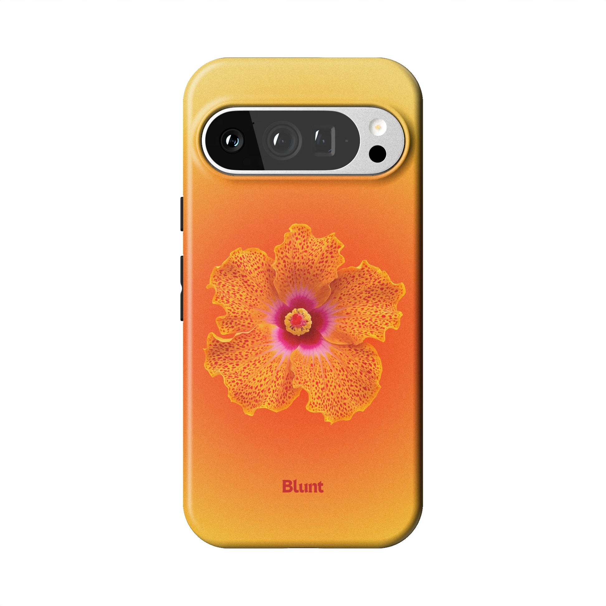Pixel_9_Pixel_9_Pro_1