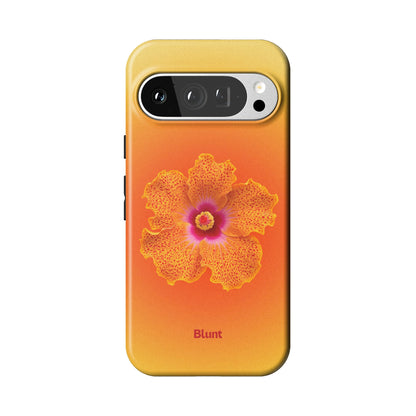 Pixel_9_Pixel_9_Pro_1