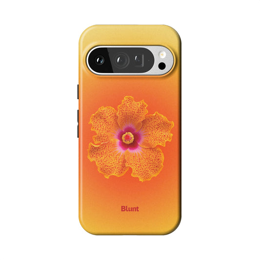 Pixel_9_Pixel_9_Pro_1