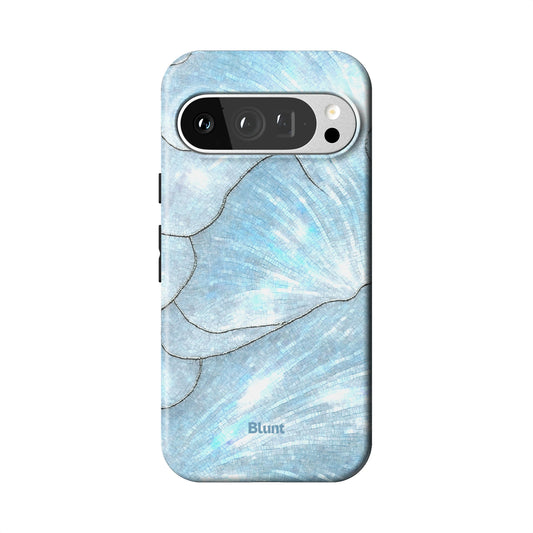 Pixel_9_Pixel_9_Pro_1