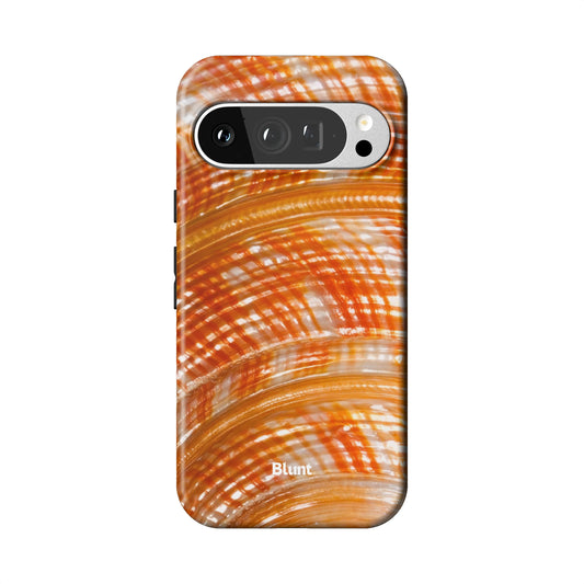 Pixel_9_Pixel_9_Pro_1