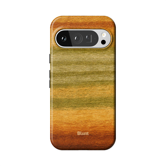 Pixel_9_Pixel_9_Pro_1