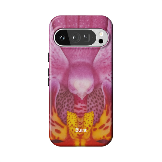 Pixel_9_Pixel_9_Pro_1