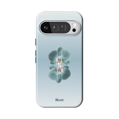 Pixel_9_Pixel_9_Pro_1