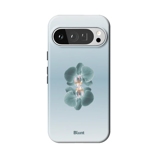 Pixel_9_Pixel_9_Pro_1