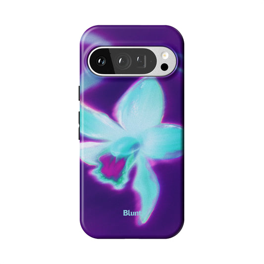 Pixel_9_Pixel_9_Pro_1