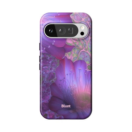 Pixel_9_Pixel_9_Pro_1