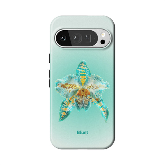 Pixel_9_Pixel_9_Pro_1