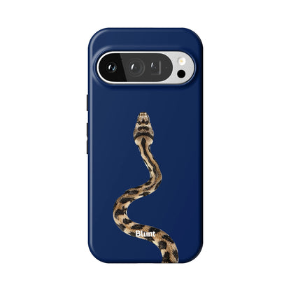 Pixel_9_Pixel_9_Pro_1