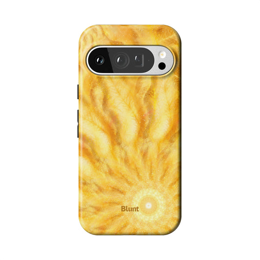 Pixel_9_Pixel_9_Pro_1