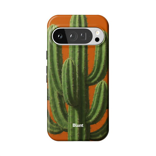 Pixel_9_Pixel_9_Pro_1