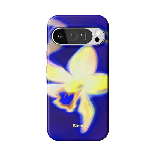Pixel_9_Pixel_9_Pro_1