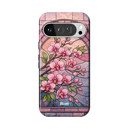 Pixel_9_Pixel_9_Pro_1