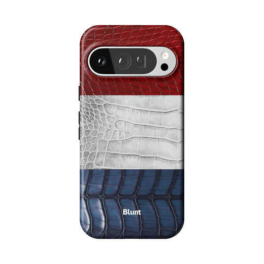 Pixel_9_Pixel_9_Pro_1