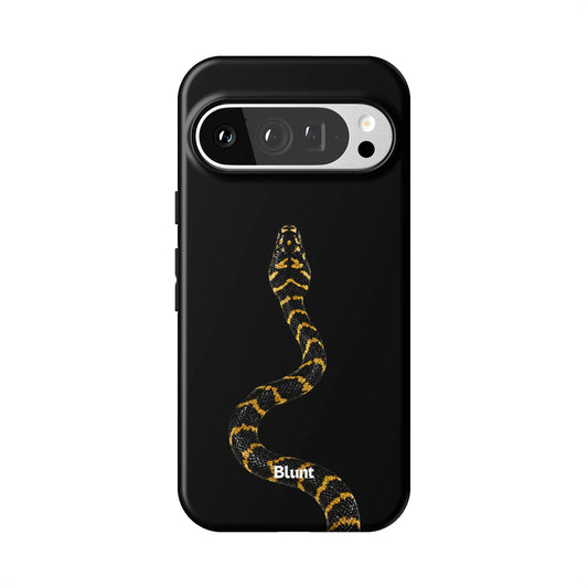 Pixel_9_Pixel_9_Pro_1