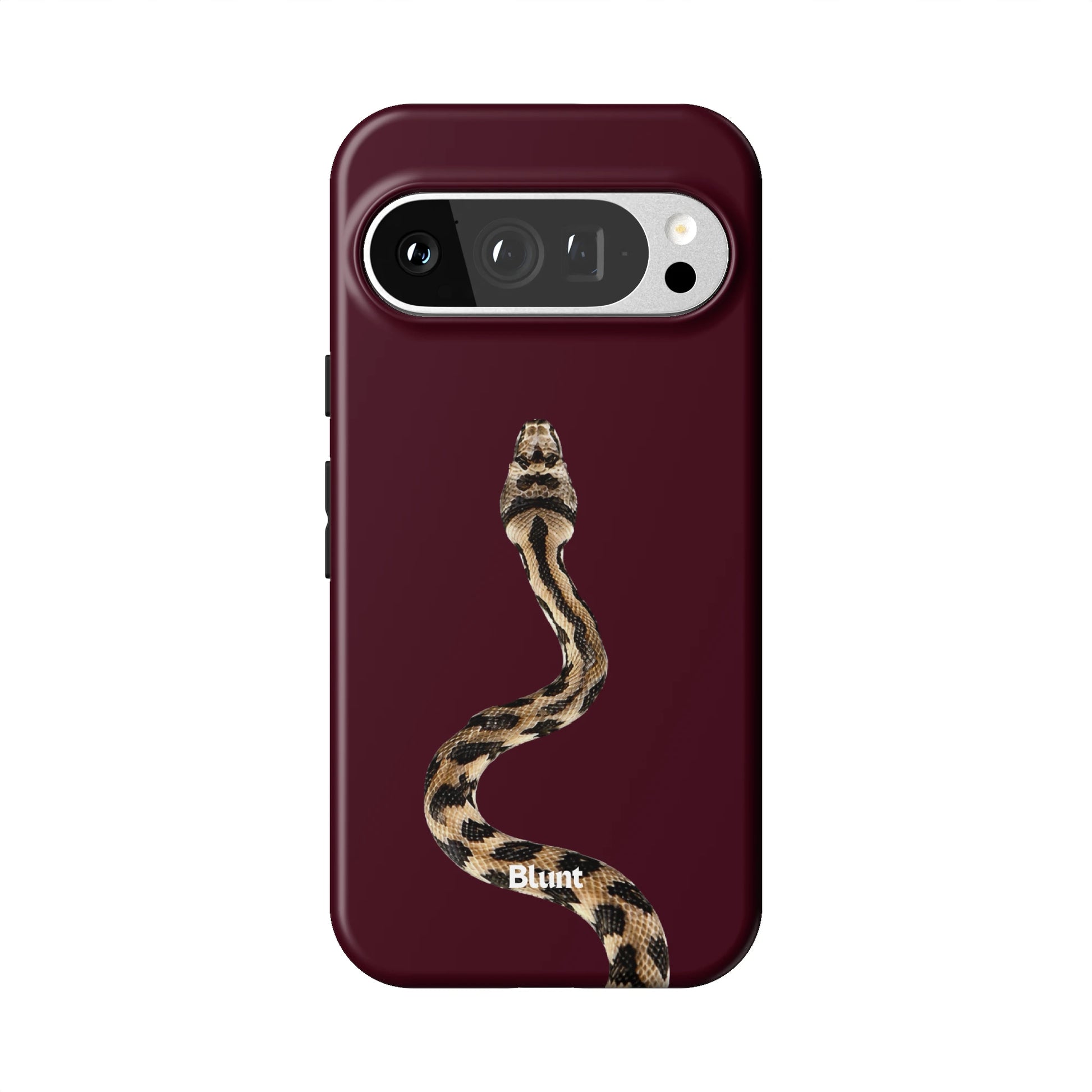 Pixel_9_Pixel_9_Pro_1