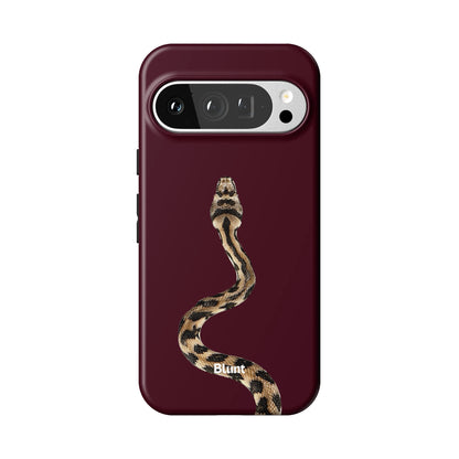 Pixel_9_Pixel_9_Pro_1