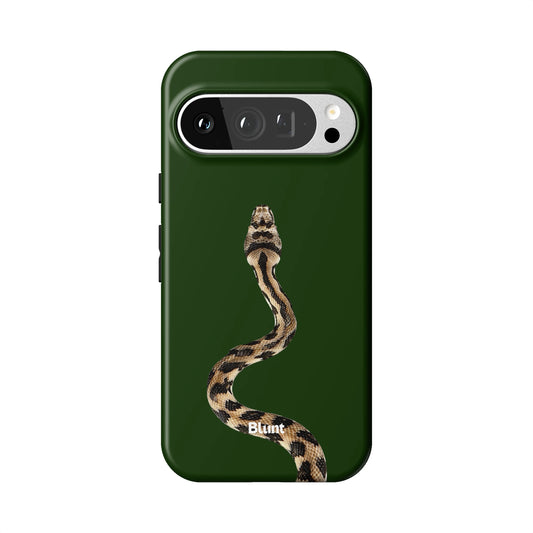 Pixel_9_Pixel_9_Pro_1