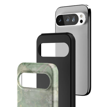 Pixel_9_Pixel_9_Pro_3