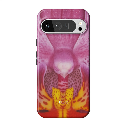 Pixel_9_Pixel_9_Pro_XL_1