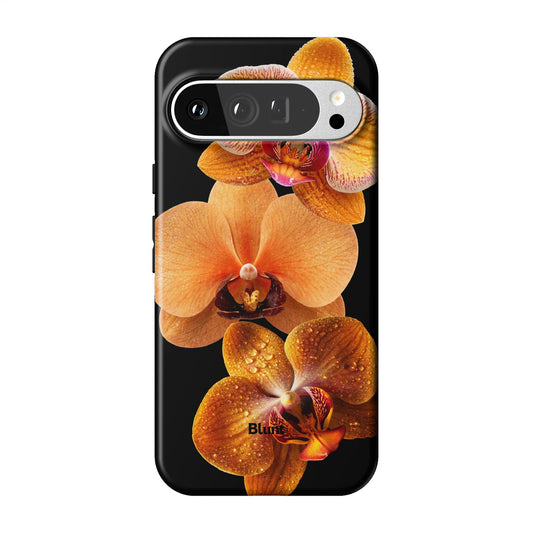 Pixel_9_Pixel_9_Pro_XL_1