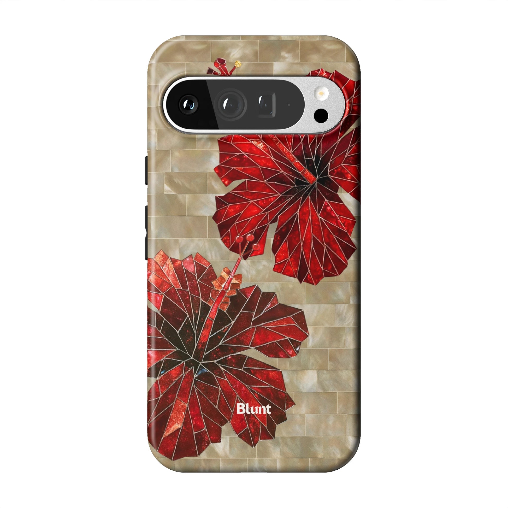 Pixel_9_Pixel_9_Pro_XL_1
