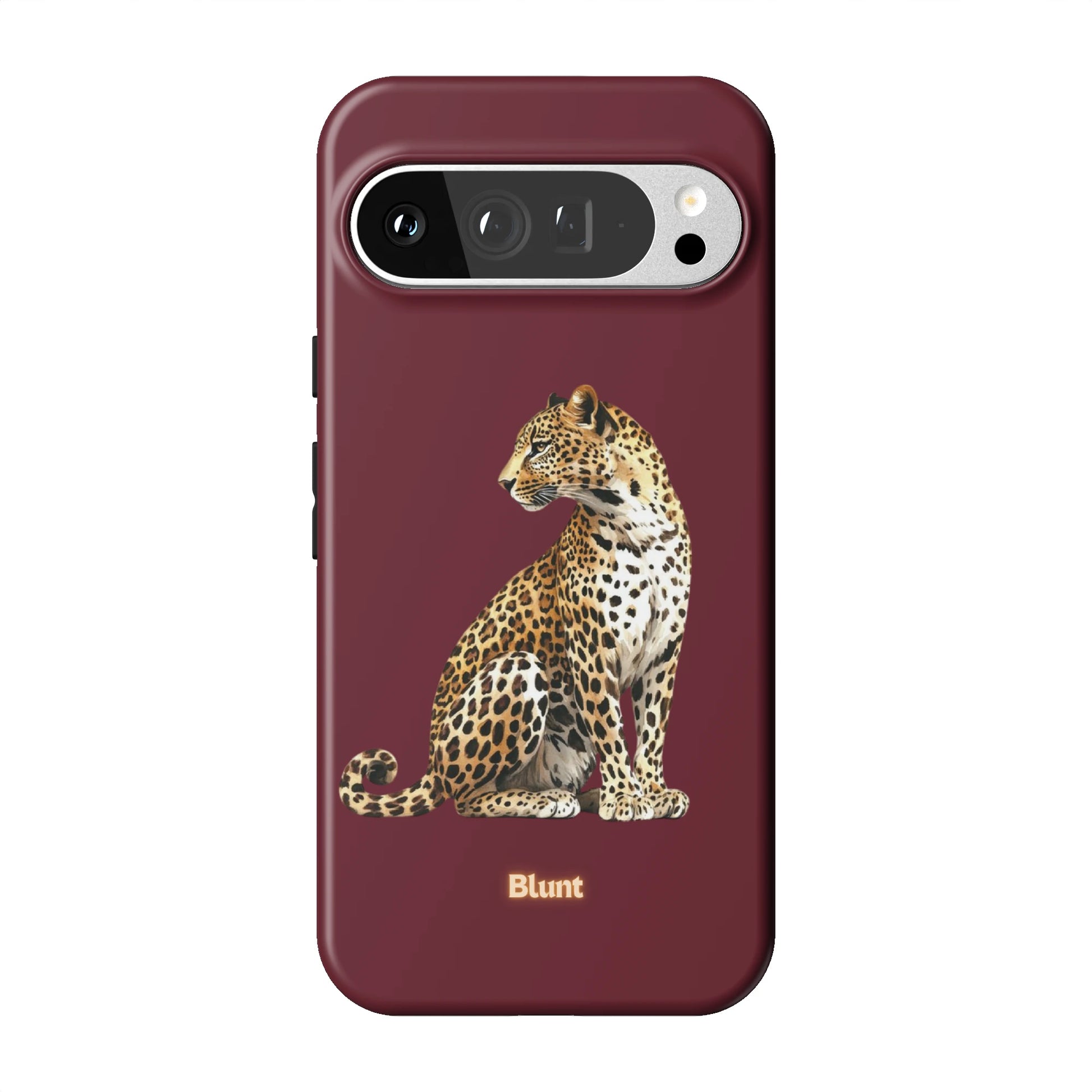 Pixel_9_Pixel_9_Pro_XL_1
