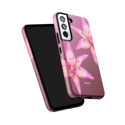 S22_S22_5
