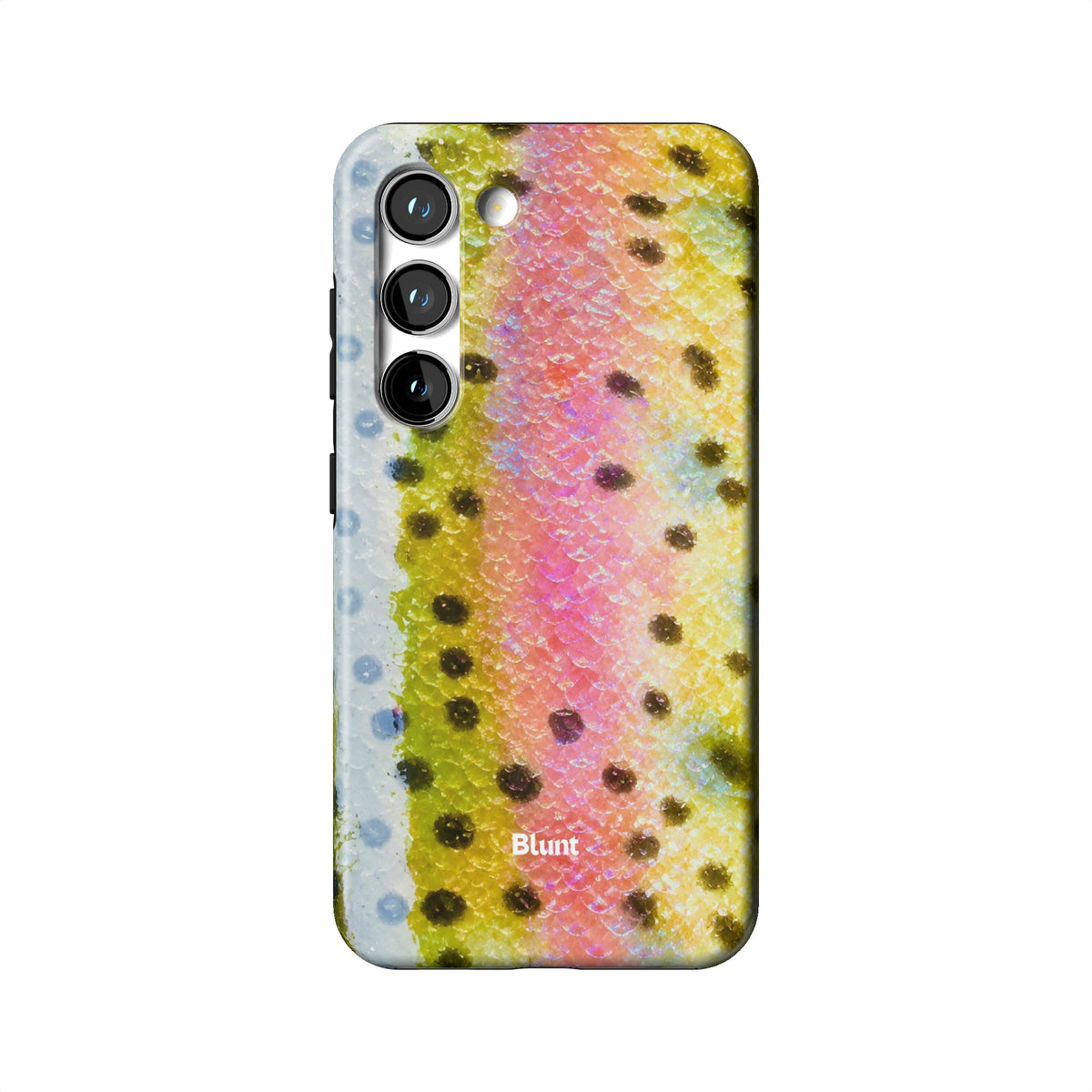 S23_S23_1