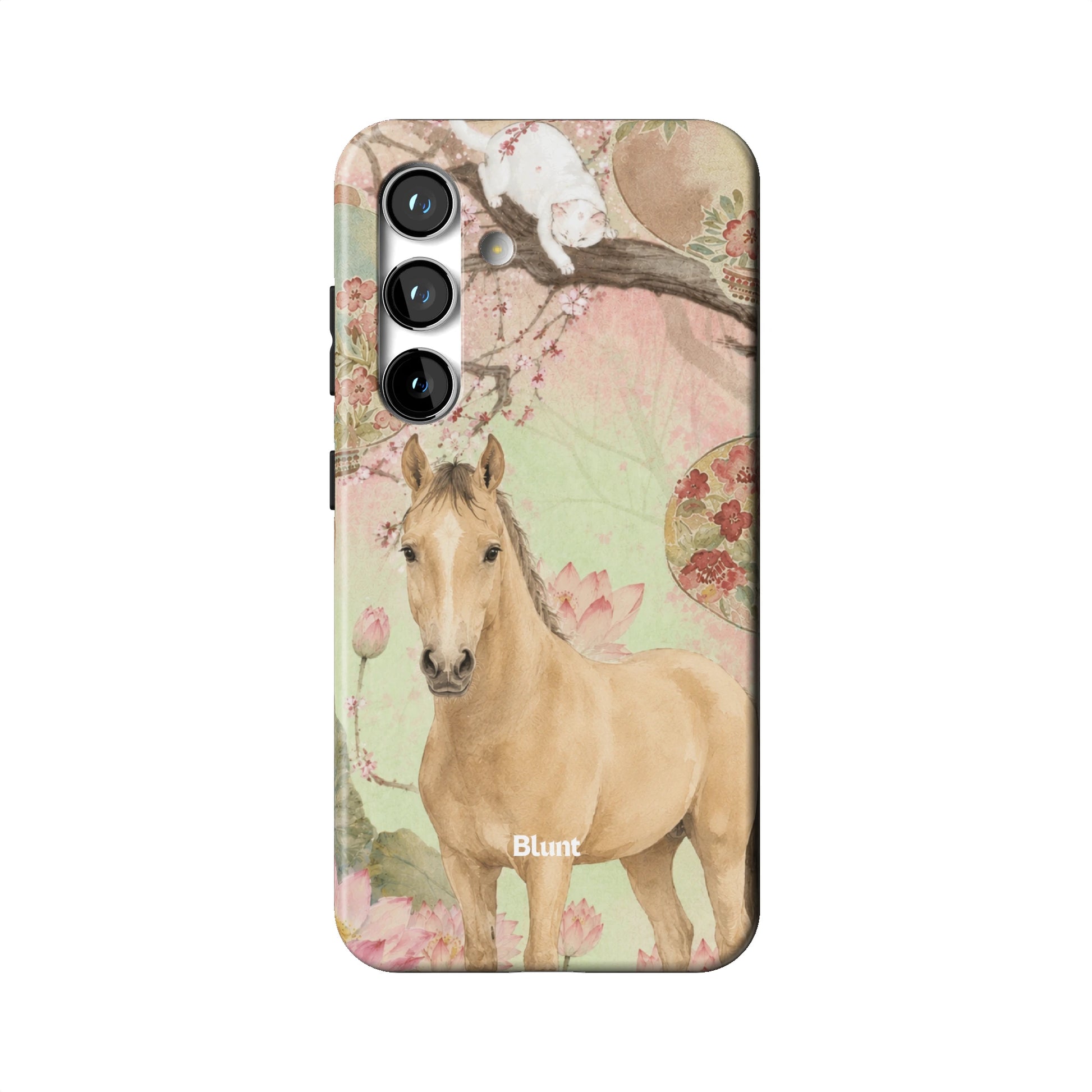 S24_S24_1