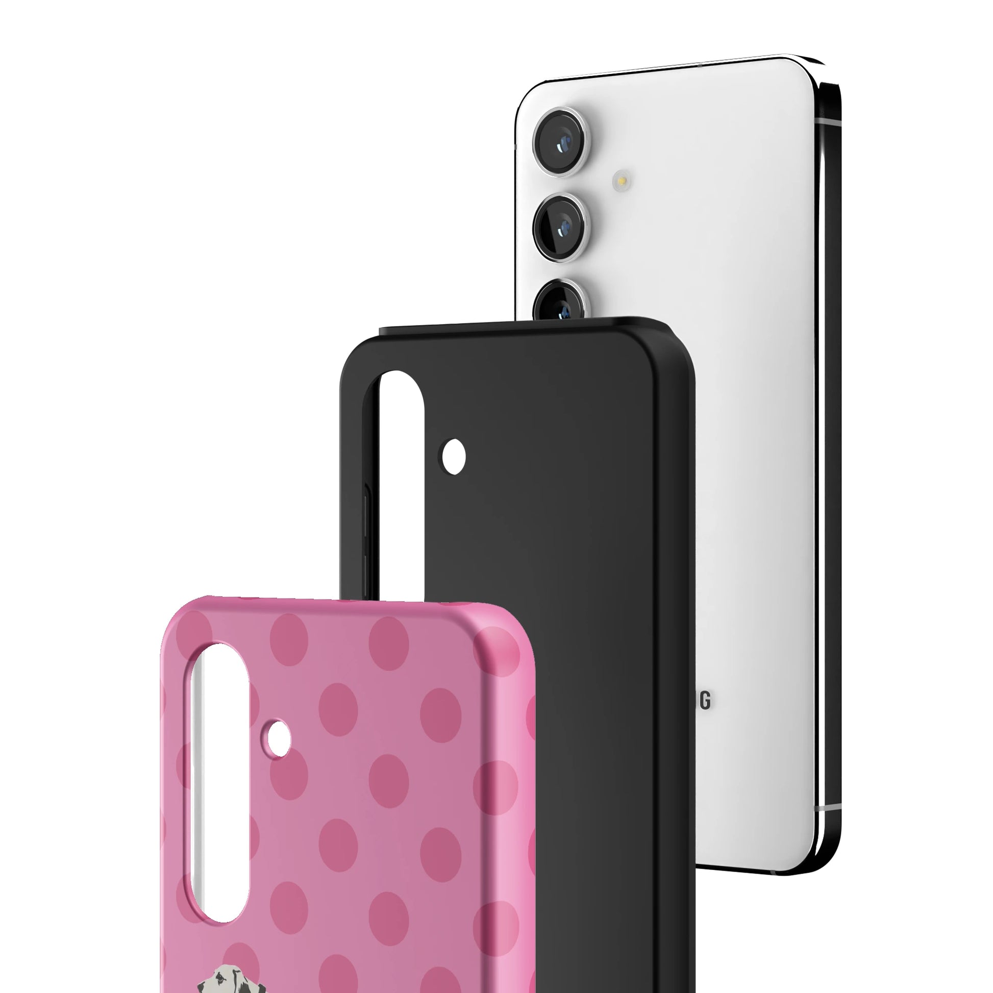 S24_S24_3