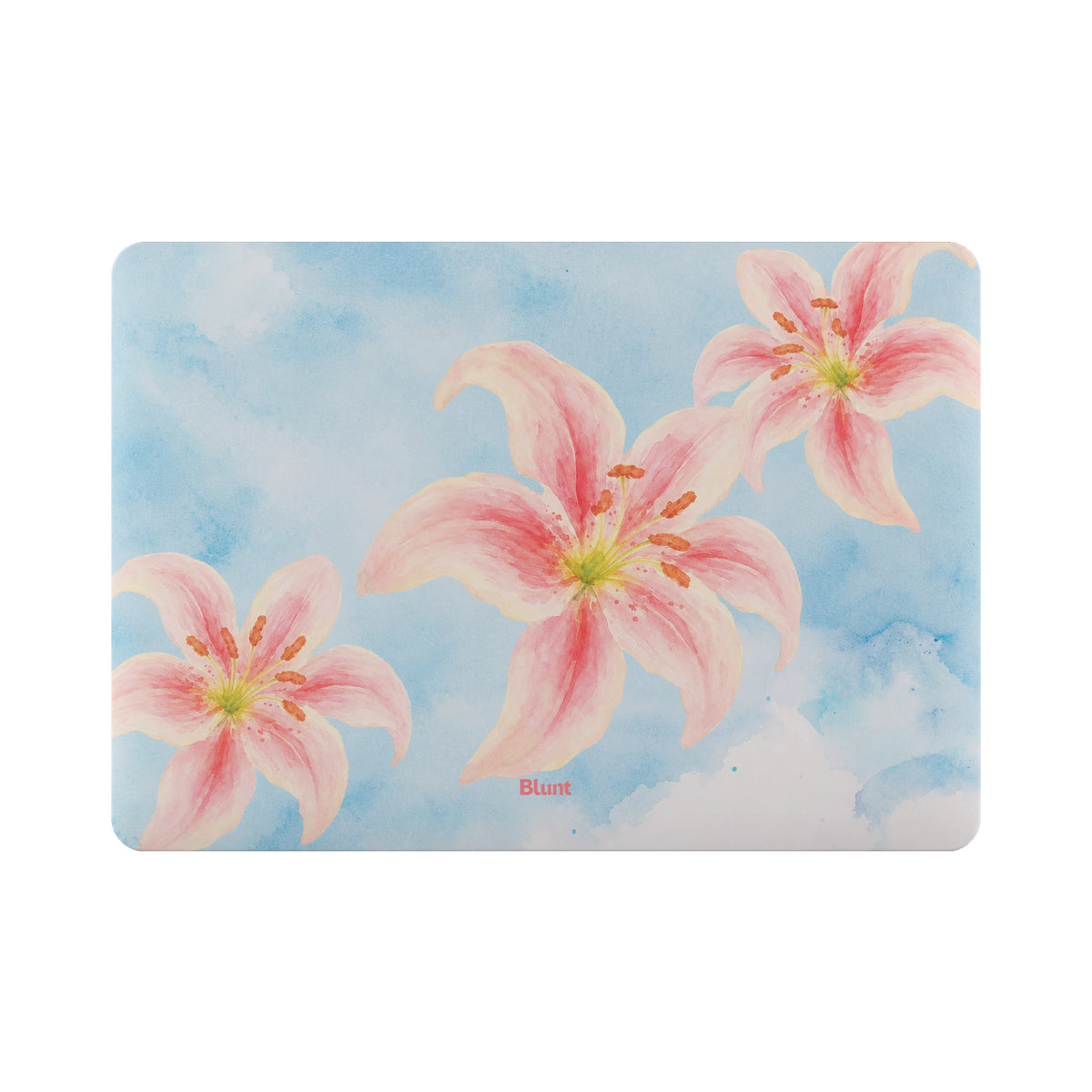 MacBook_Air_6